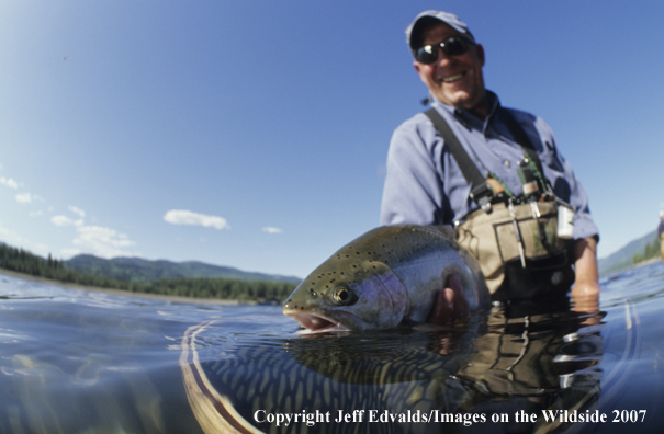 Rainbow Trout