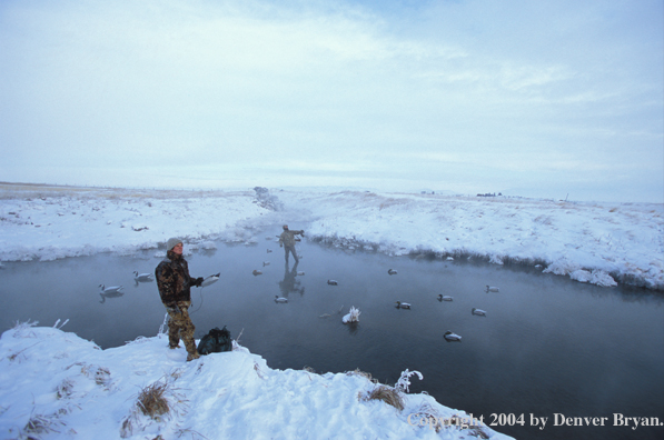 Waterfowl hunters setting decoys.