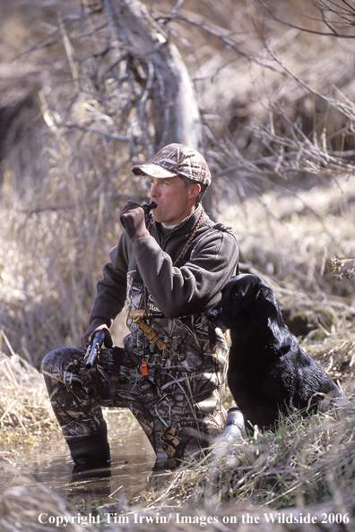 Waterfowl hunter calling while black labrador sits at his side.