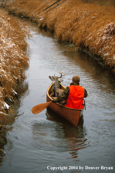 Hunter in canoe with bagged white-tailed deer.