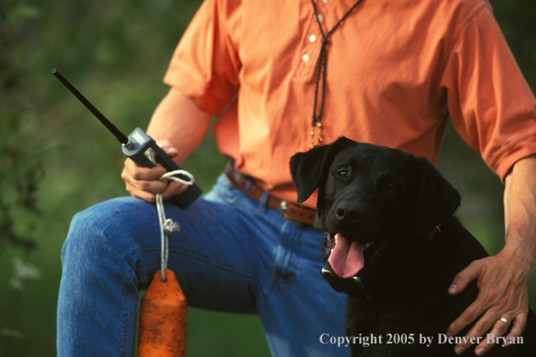 Trainer with black Labrador Retriever.