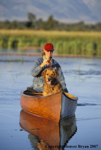 Woman canoeing with golden Retriever