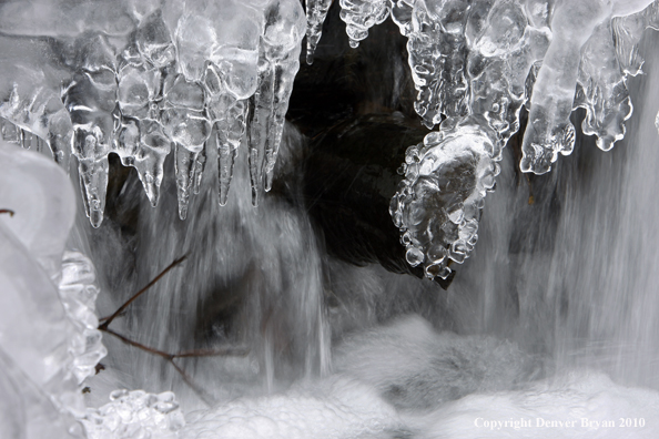 icicles