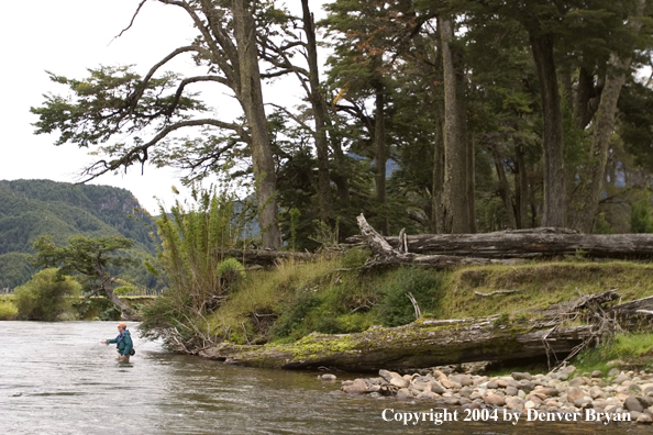 Flyfisherman casting in river.