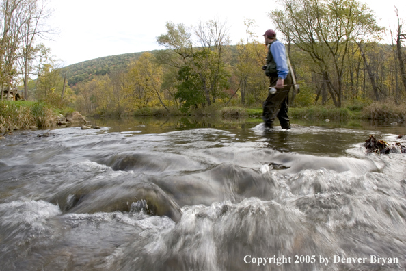 Flyfisherman crossing Pennsylvania spring creek.