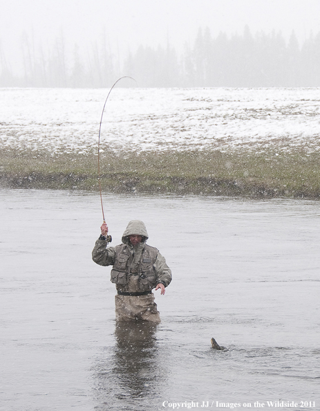 Flyfishing on the Firehole River, Yellowstone National Park. 