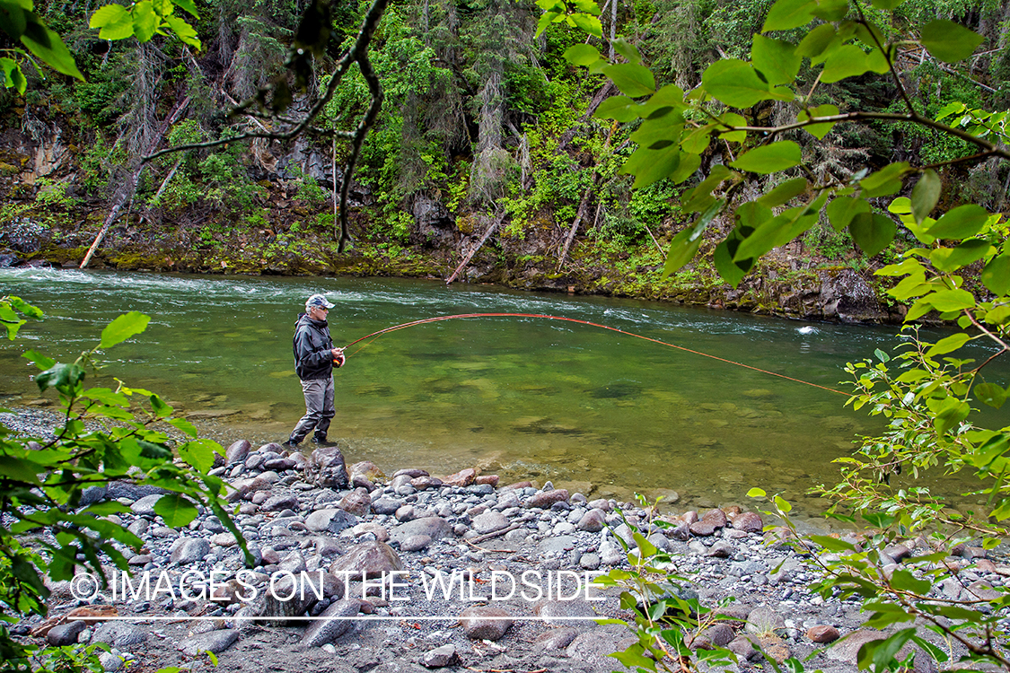 Flyfisherman fighting with fish on Nakina River, British Columbia.