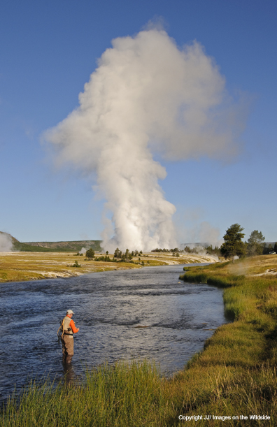 Flyfishing in Yellowstone.