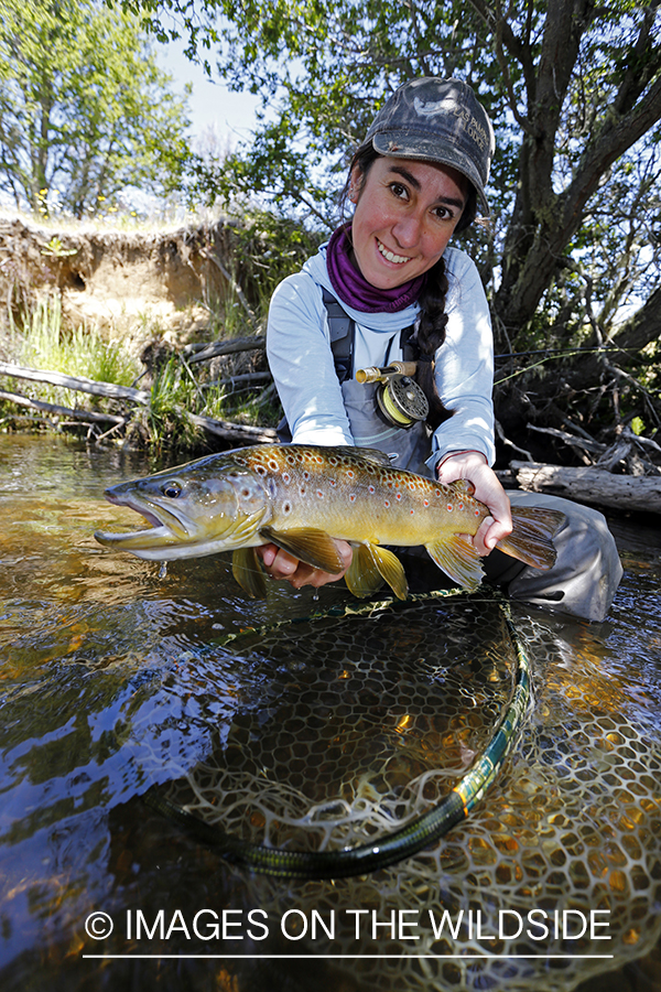 Flyfishing woman releasing brown trout.