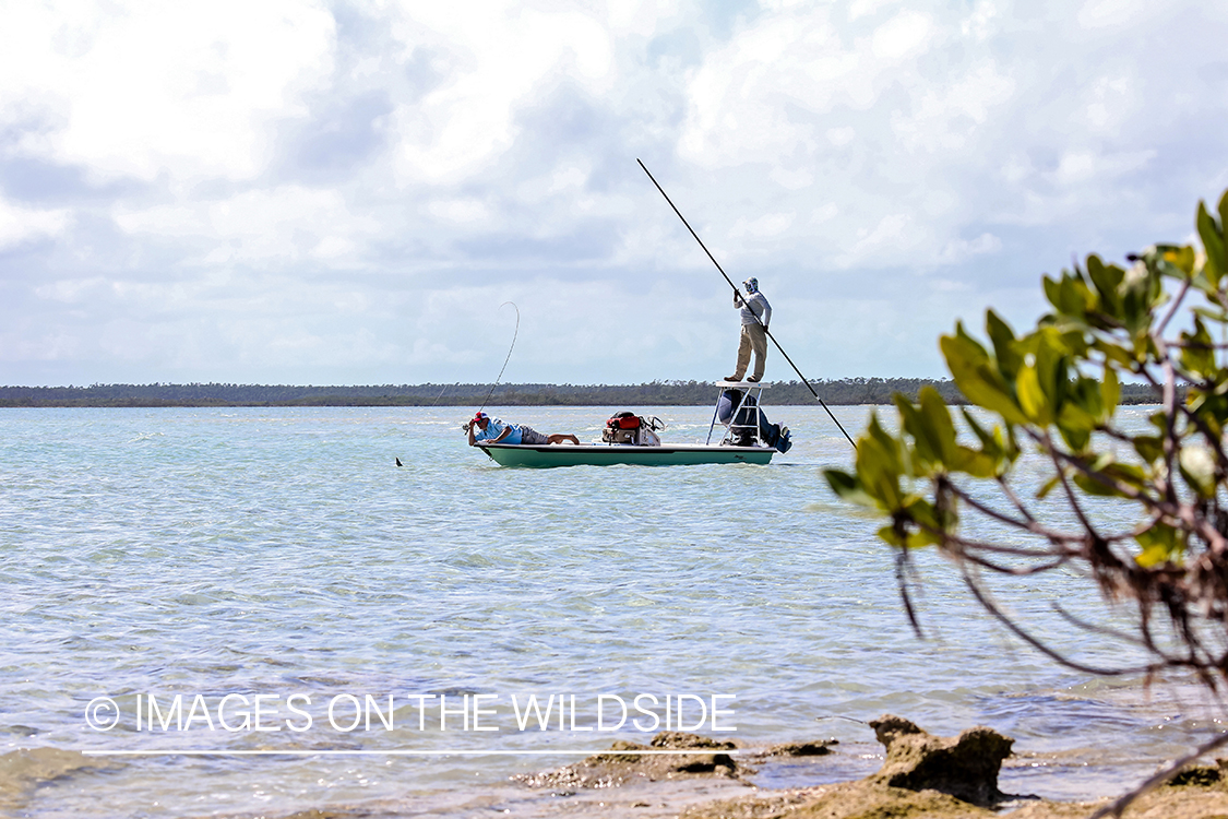 Flyfisherman fighting bonefish.