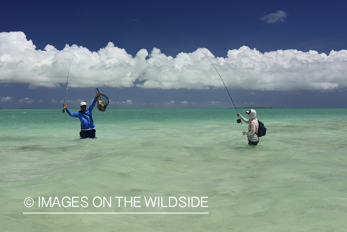 Flyfishing for Peachy Triggerfish on flats.