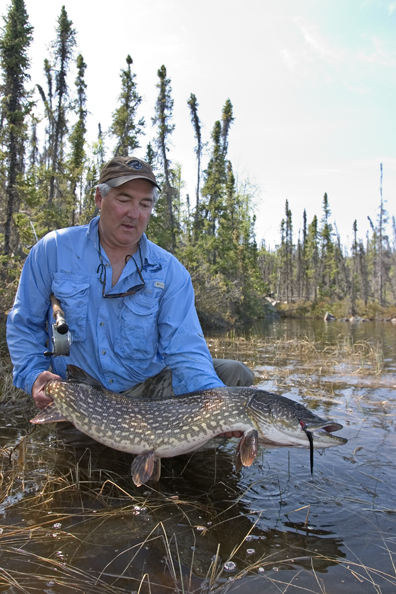 Flyfisherman with Northern pike (MR)