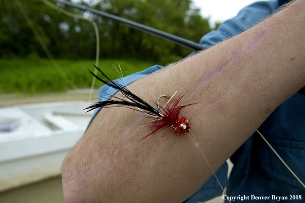 Flyfisherman w/fly hook on his arm