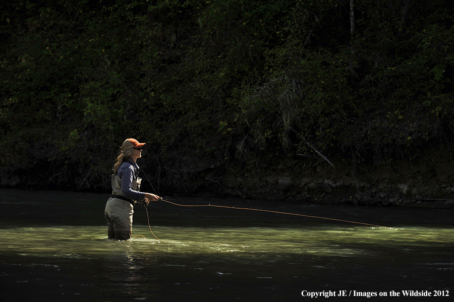 Flyfisher on river.