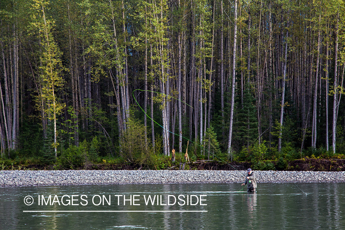 Flyfishing for steelhead on Nass River, British Columbia.