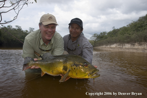 Fisherman holding Peacock Bass