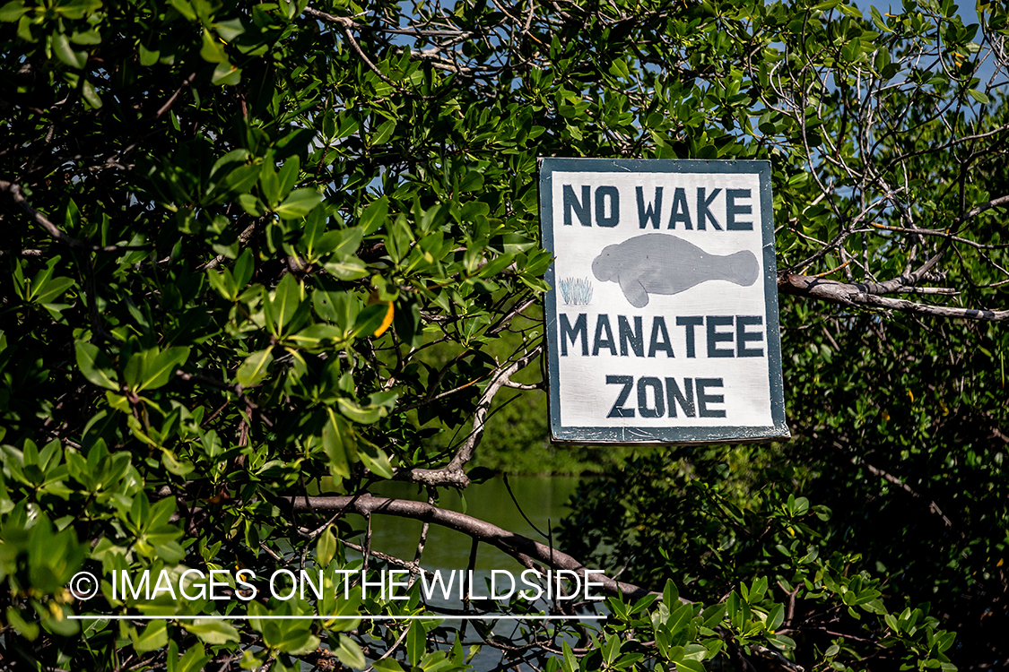 Manatee sign.