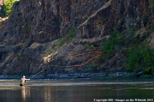 Flyfisherman spey casting. 