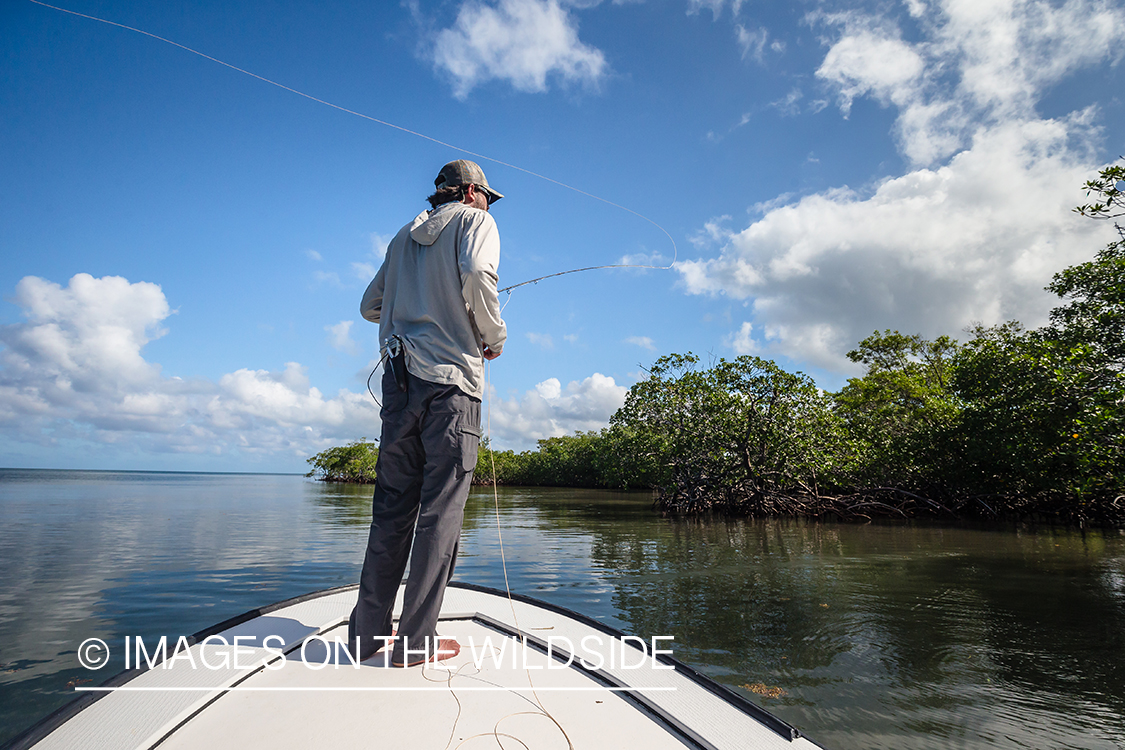 Saltwater flyfishing in Belize.