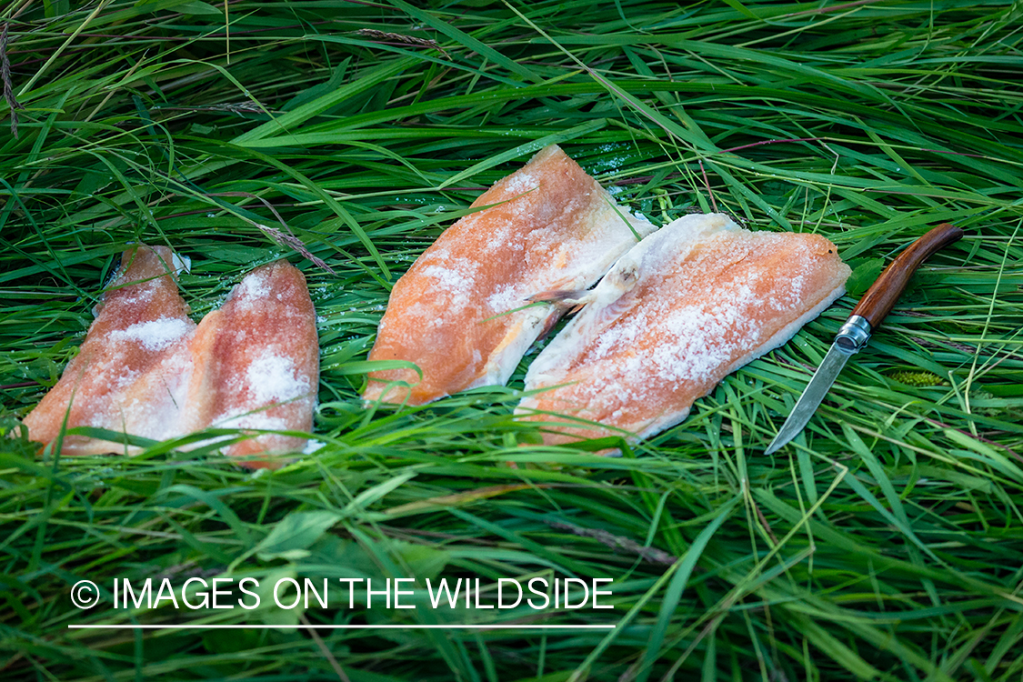 Salmon filets in Kamchatka Peninsula, Russia.