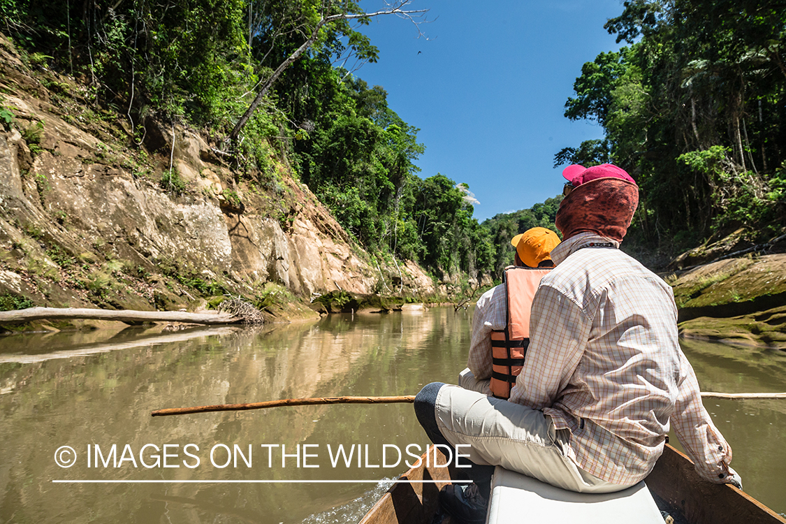 Flyfishing for Golden Dorado in Bolivia.