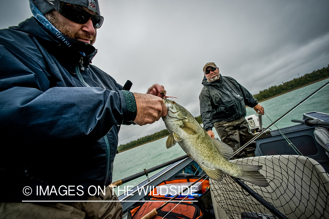 Flyfishermen with smallmouth bass.