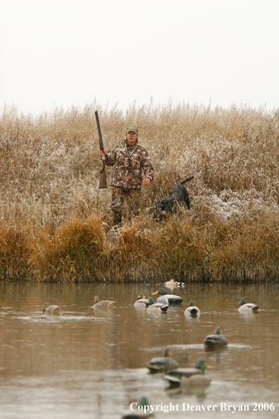 Duck hunting in winter