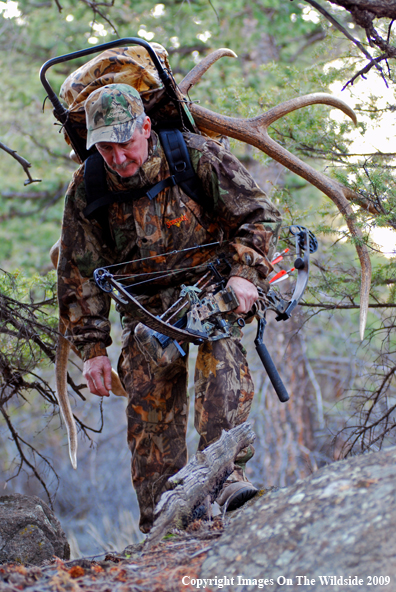 Bowhunter in field with elk rack.