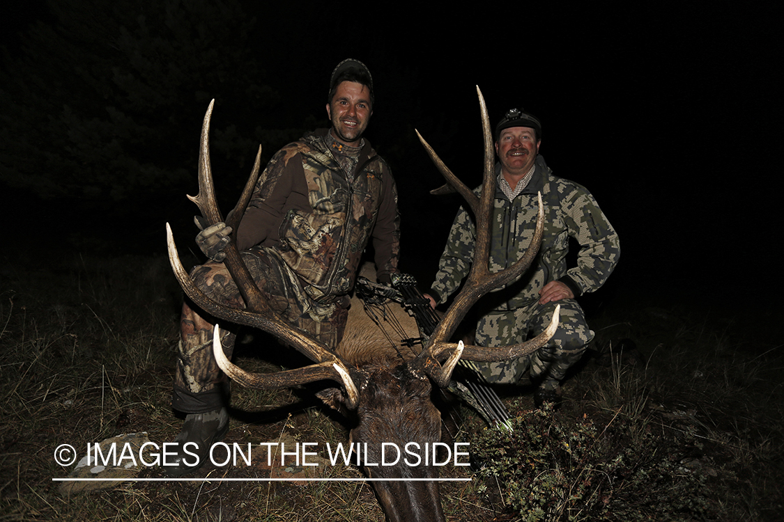 Hunter and guide with down bull elk. 