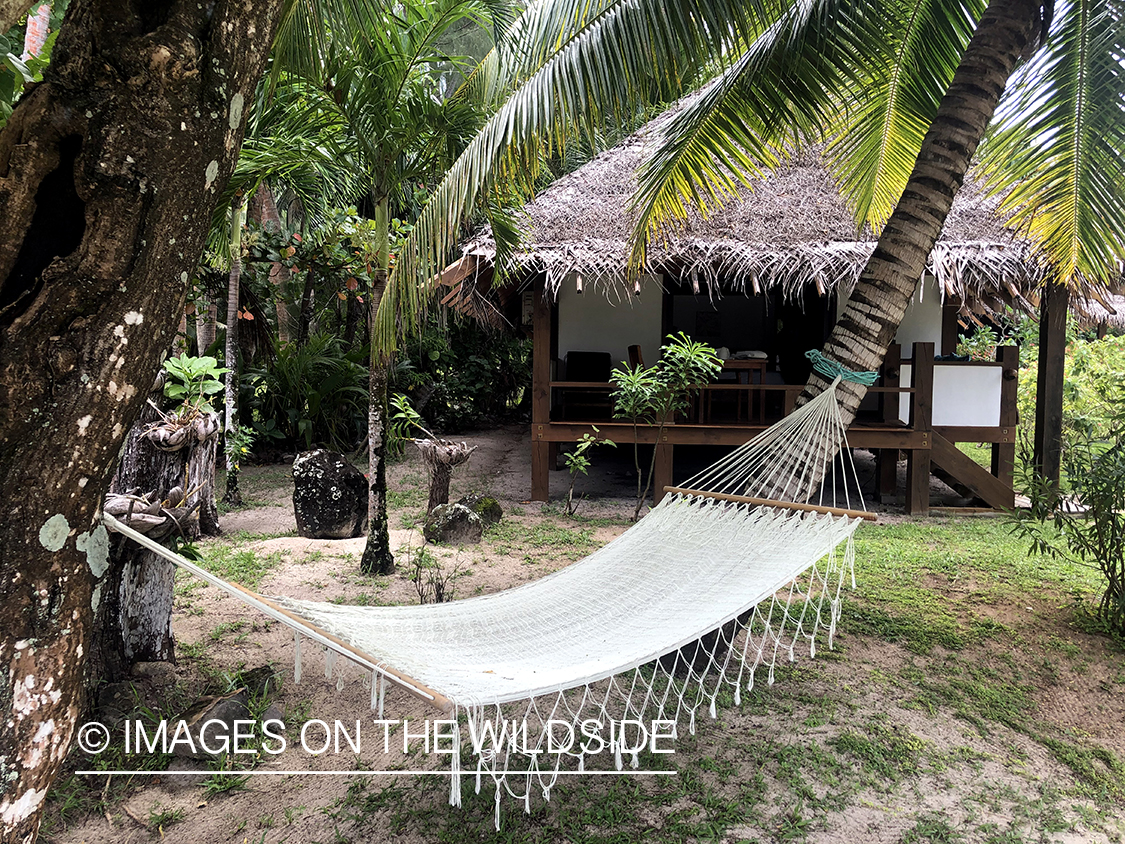 Hammock on Aitutaki Island.