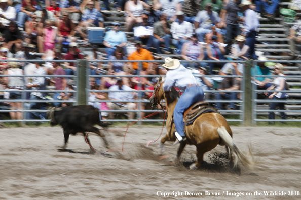 Augusta Rodeo