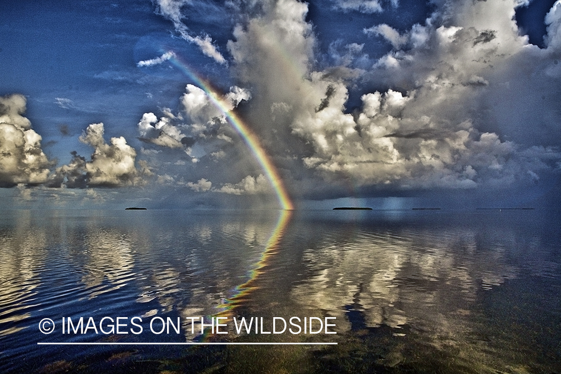 Rainbow over saltwater flatts.