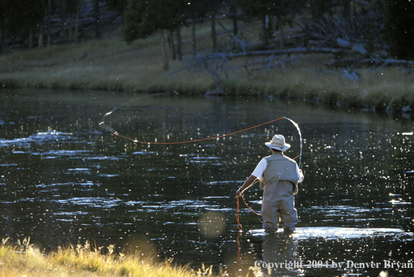 Flyfisherman casting during a hatch.