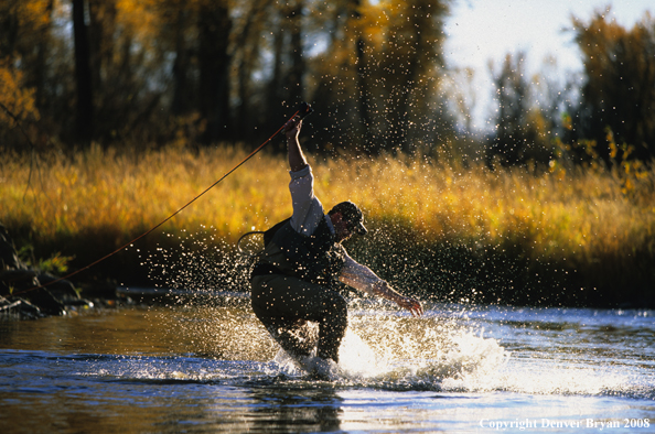 Flyfisherman trying to save flyrod