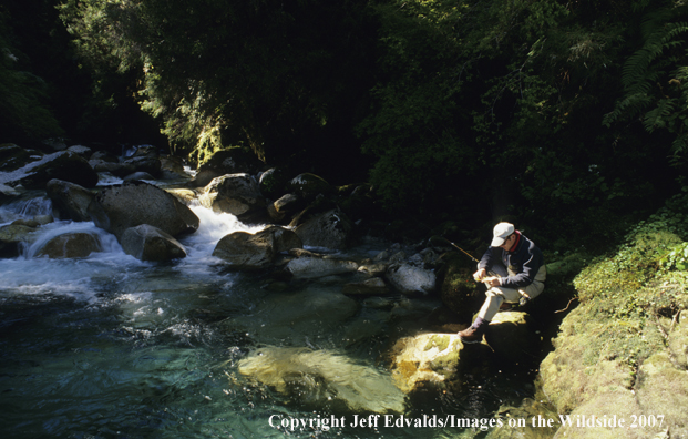 Angler chooses fly for the day