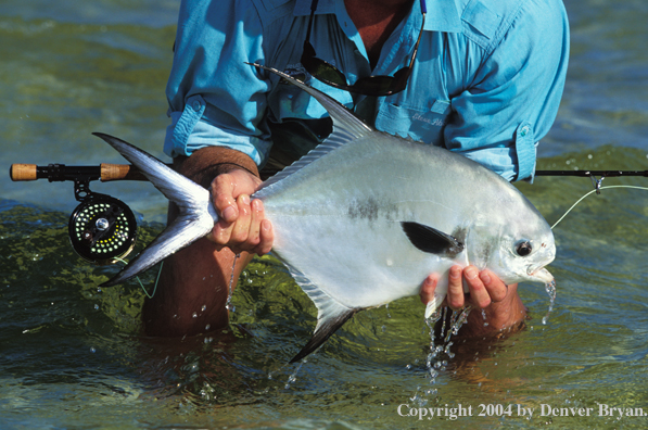 Flyfisherman holding permit.