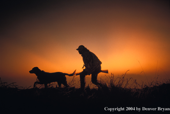 Waterfowl hunter with Lab. 