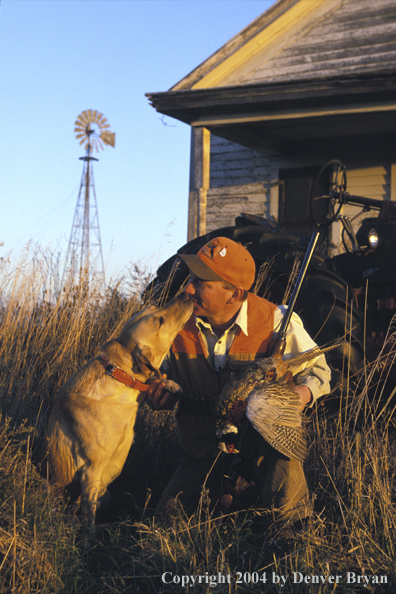 Upland bird hunter with yellow Labrador Retriever and game.