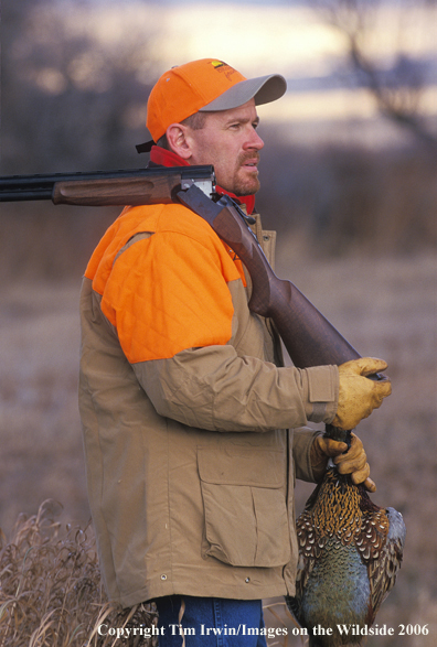 Upland game bird hunter with bagged pheasant.  