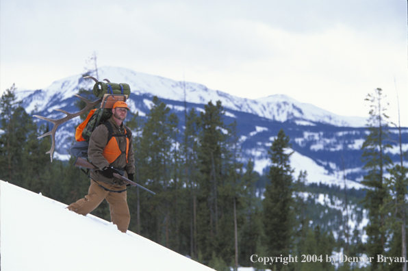 Big game hunter packing elk rack out on snowshoes.