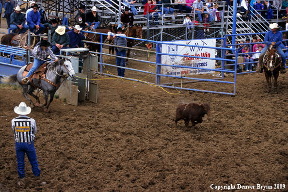 Cowboy on horseback roping