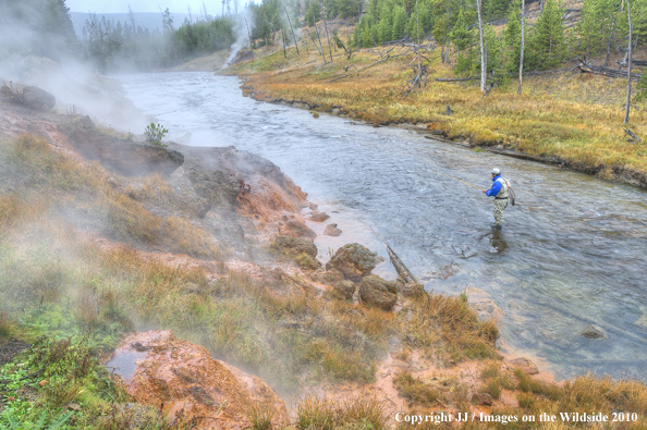 Gibbon River, Yellowstone National Park.