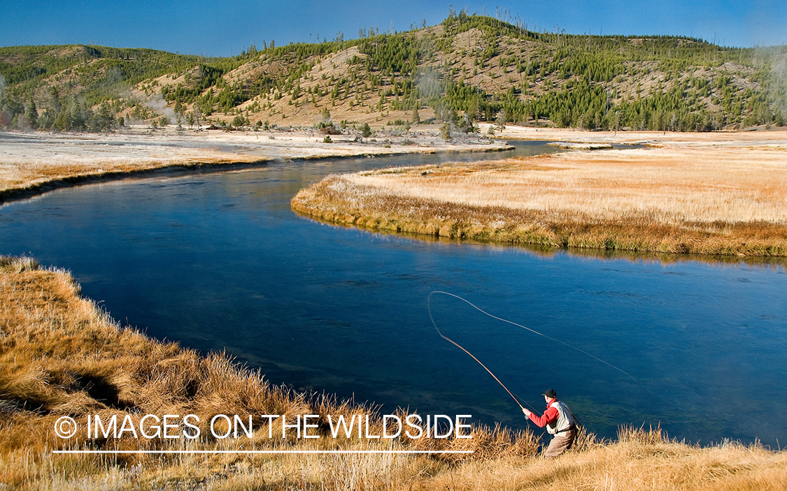 Flyfishing on Firehole River, Yellowstone National Park. 