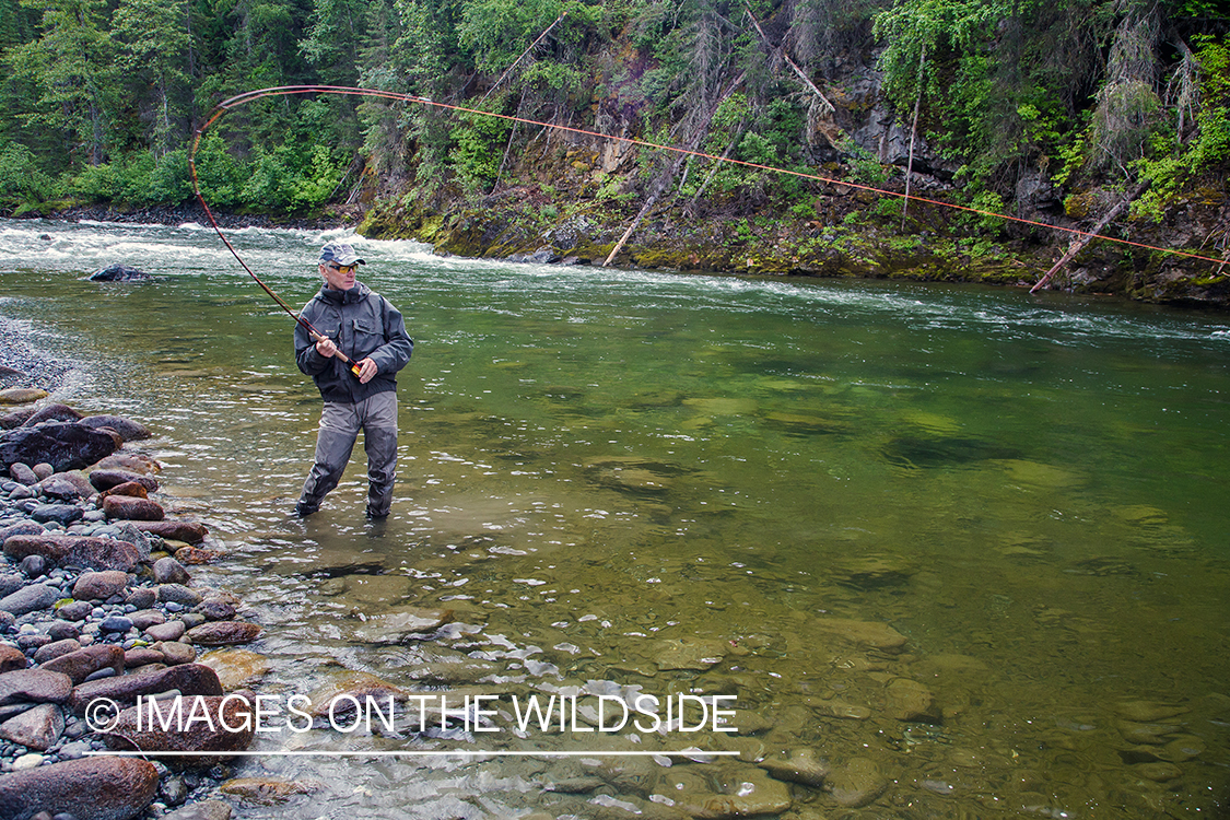 Flyfisherman fighting with fish on Nakina River, British Columbia.