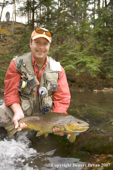 Close-up of nice brown trout.