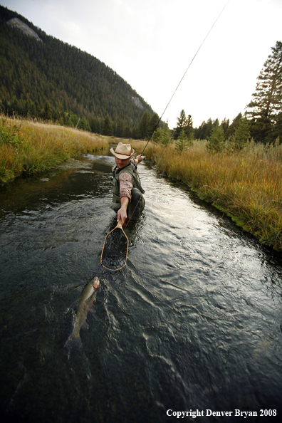 Flyfisherman with Rainbow Trout