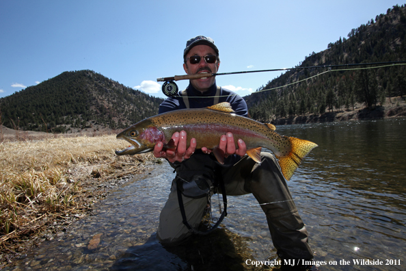 Flyfisherman with nice rainbow trout.