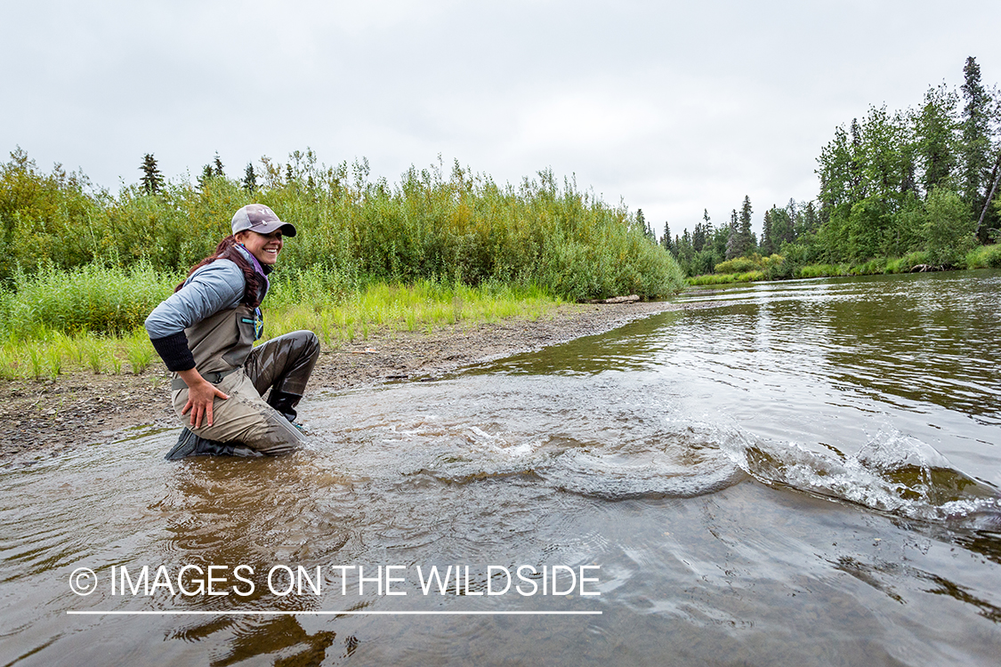 Flyfisher Camille Egdorf releasing King salmon. 