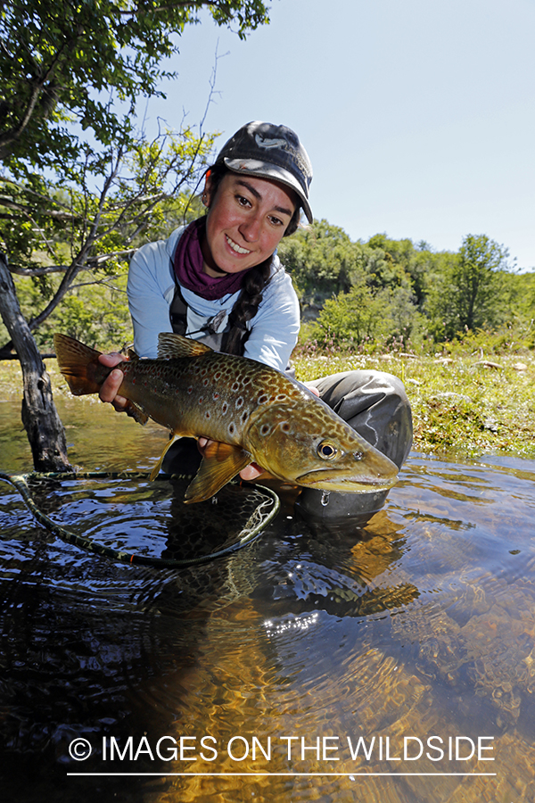 Flyfishing woman releasing brown trout.