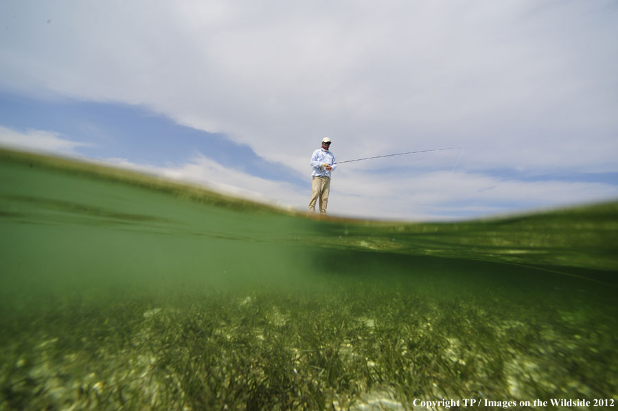 Fisherman on a boat.